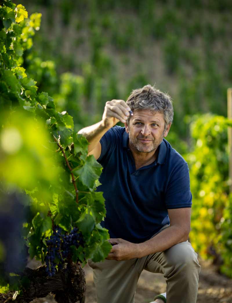 photo still of winemaker alvaro palacio